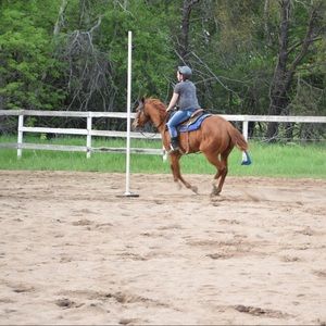 Meet your Posher, Maya